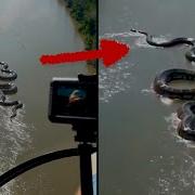 Grabbed Nine Tiktok