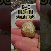 Много Золота Брал