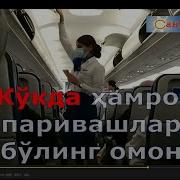 Олтин Канот Шерали Жураев Минус