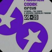 Matthew Codek Circus