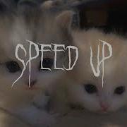 Калым Speed Up