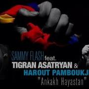 Aram Ankax Hayastan Remix