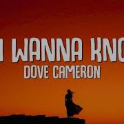 Do I Wanna Know Dove