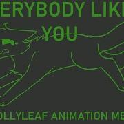 Everybody Likes You A Hollyleaf Animation Meme