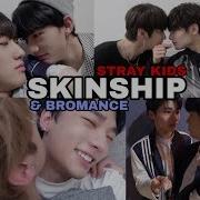 Stray Kids Skinship Bromance