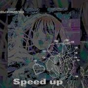 Соковыжималка Speed Up