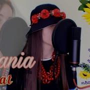 Stefania Cover
