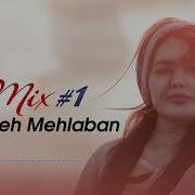 Fatemeh Mehlaban