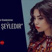 Gunum Seyledir