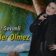 Aynur Sevimli 2024 Musiqi