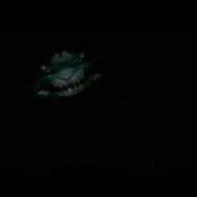 Sark Laugh
