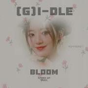 Bloom Speed Up