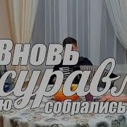 Вот Журавли В Свою Собрались Стаю