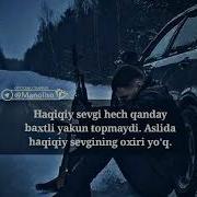 Telba Bo Lib Sevganim Aybim