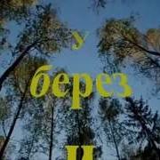 Группа Аракс У Берез И Сосен