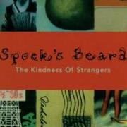Spock S Beard Cakewalk On Easy Street