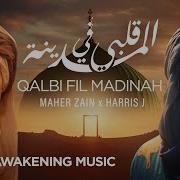 Qalbi