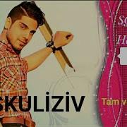 Soroush Malekpour Haydi Soyle New Turkish Song 2021