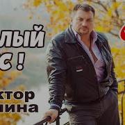 Я Белорус И Этим Я Горжусь