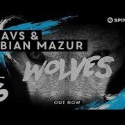 Fabian Mazur Wolves