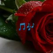 Seymur Memmedov Sevdiyim Insan Lyrics