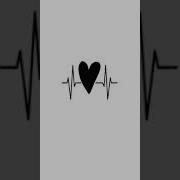 Heartbeat Cinematic Sound Effects