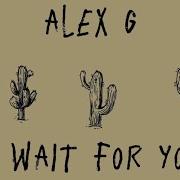 I Wait For You Alex G