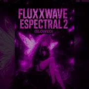 Fluxxwave Espectral 2