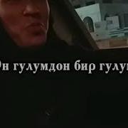 Укчу Гулум