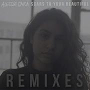 Alessia Cara Scars To Your Beautiful Remix