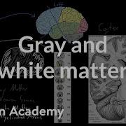 Grey Matter