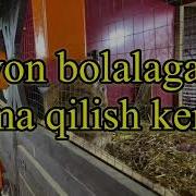 Quyon Boqish