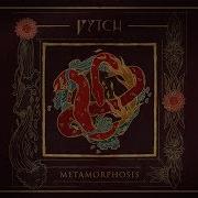 Fytch Metamorphosis