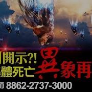 死亡 林海