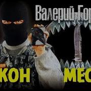 Валерий Горшков Закон Мести