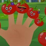 Tomate Dedo Família Rimas Para Crianças Nursery Songs For Kids Tomato