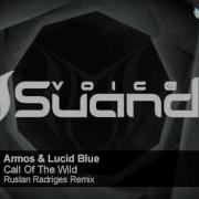 Armos Call Of The Wild Ruslan Radriges Remix