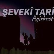 Seveki Tari Agirbest