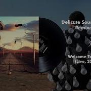Pink Floyd Welcome To The Machine Live Delicate Sound Of Thunder 2019 Remix