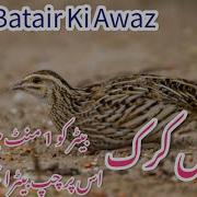 Batair Madi Ki Awaz