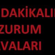 Fırat Kart Sunar Erzurum Halayları