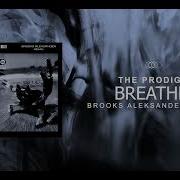 Breathe Brooks Aleksander