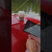 Песня Про Моряков Для Детей