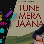 Maine Mere Jana