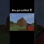 Snuffer Meme
