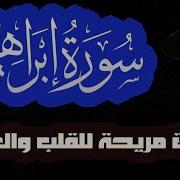 اصدار جديد سورة ابراهيم كاملة تلاوة هادئة ومريحة للقلب والعقل القارئ بلال دربالي قران كريم