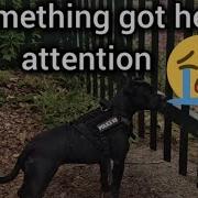 A Sad Discovery
