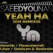 Yeah Ha Pleasurekraft Remix