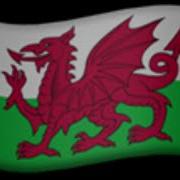 Wales Eas Alarm Alt