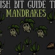 Mandrake Don T Starve